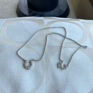Horseshoe necklace